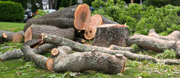  Inwood, WV Tree Care Pros