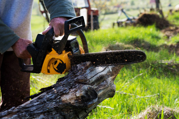 Best Soil Testing and Treatment  in Inwood, WV